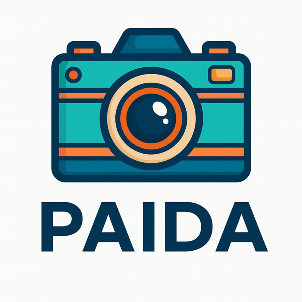 拍搭 Paida 标志